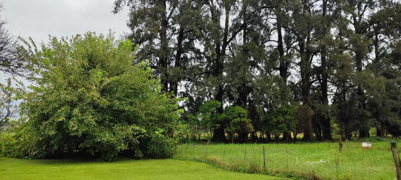 Cherbury วินเทอร์ตัน ภายนอก รูปภาพ